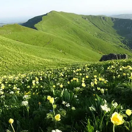 Bienvenue Au Lioran Appartement *