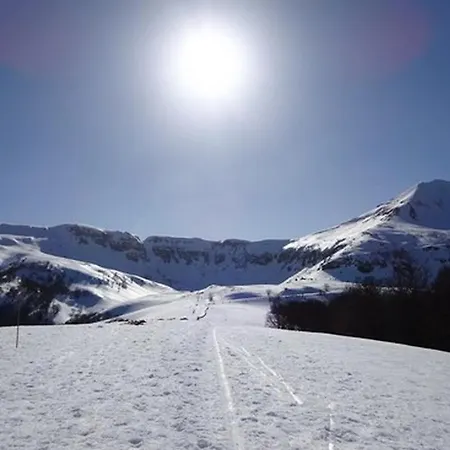 Appartement Bienvenue Au Lioran