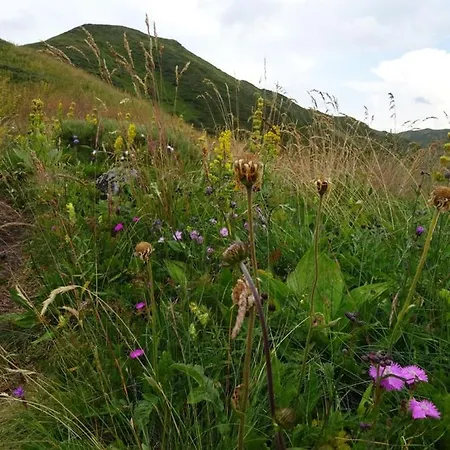 Bienvenue Au Lioran * Le Lioran