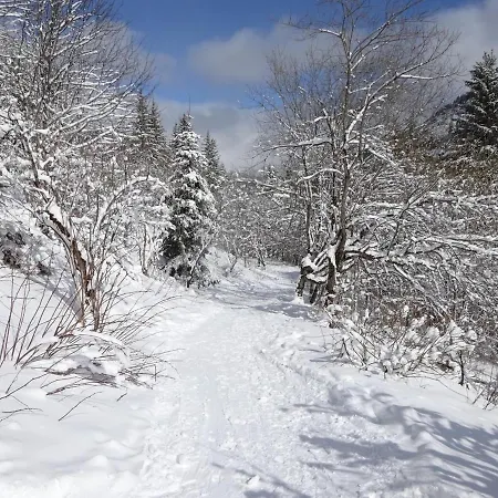 Appartement Bienvenue Au Lioran Le Lioran
